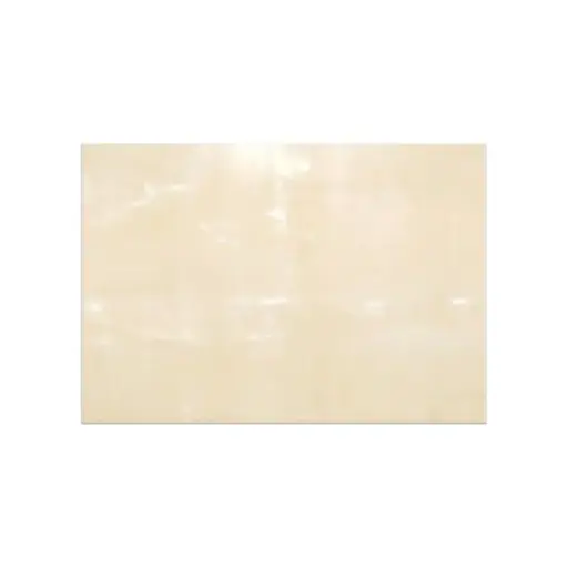 [LATEXSVP1718] VACUUM BLADDER FOR SVP1718 22" X 23"